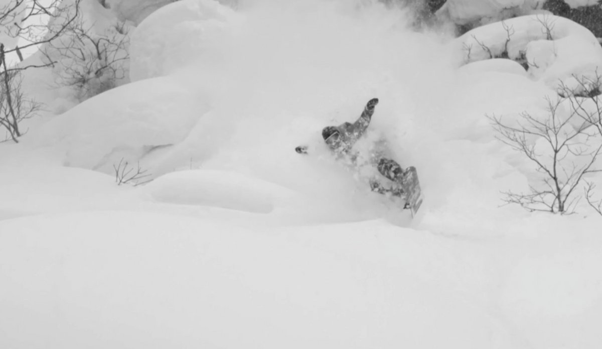 THE LINE-UP IS STRONG!